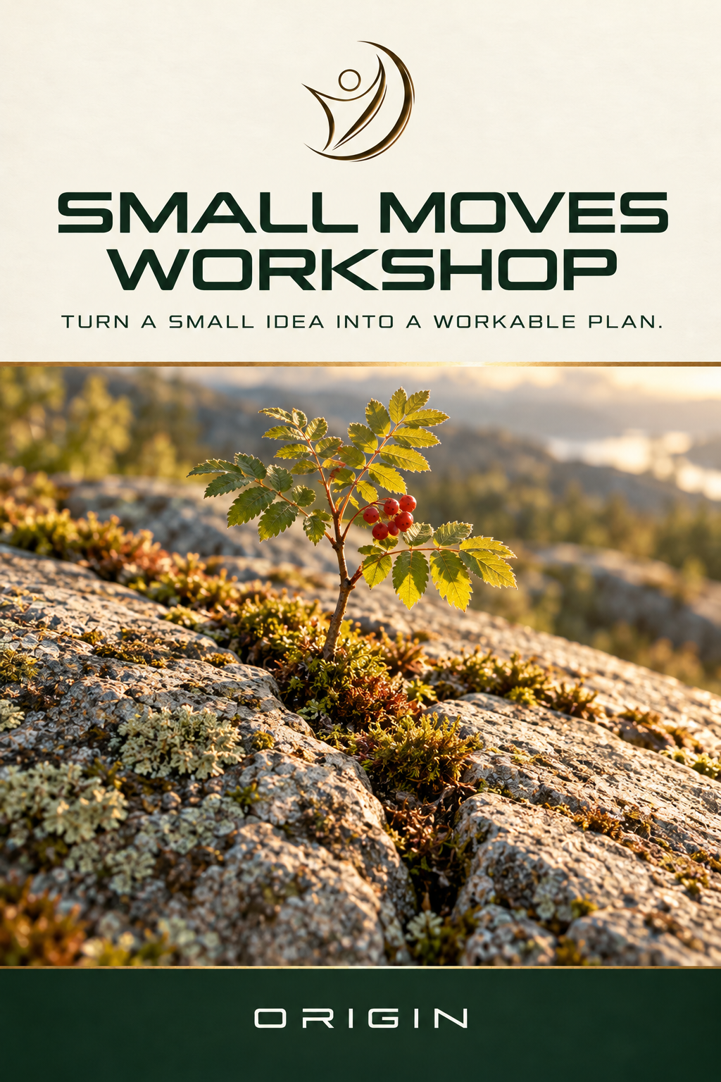 Small Moves Workshop — front cover